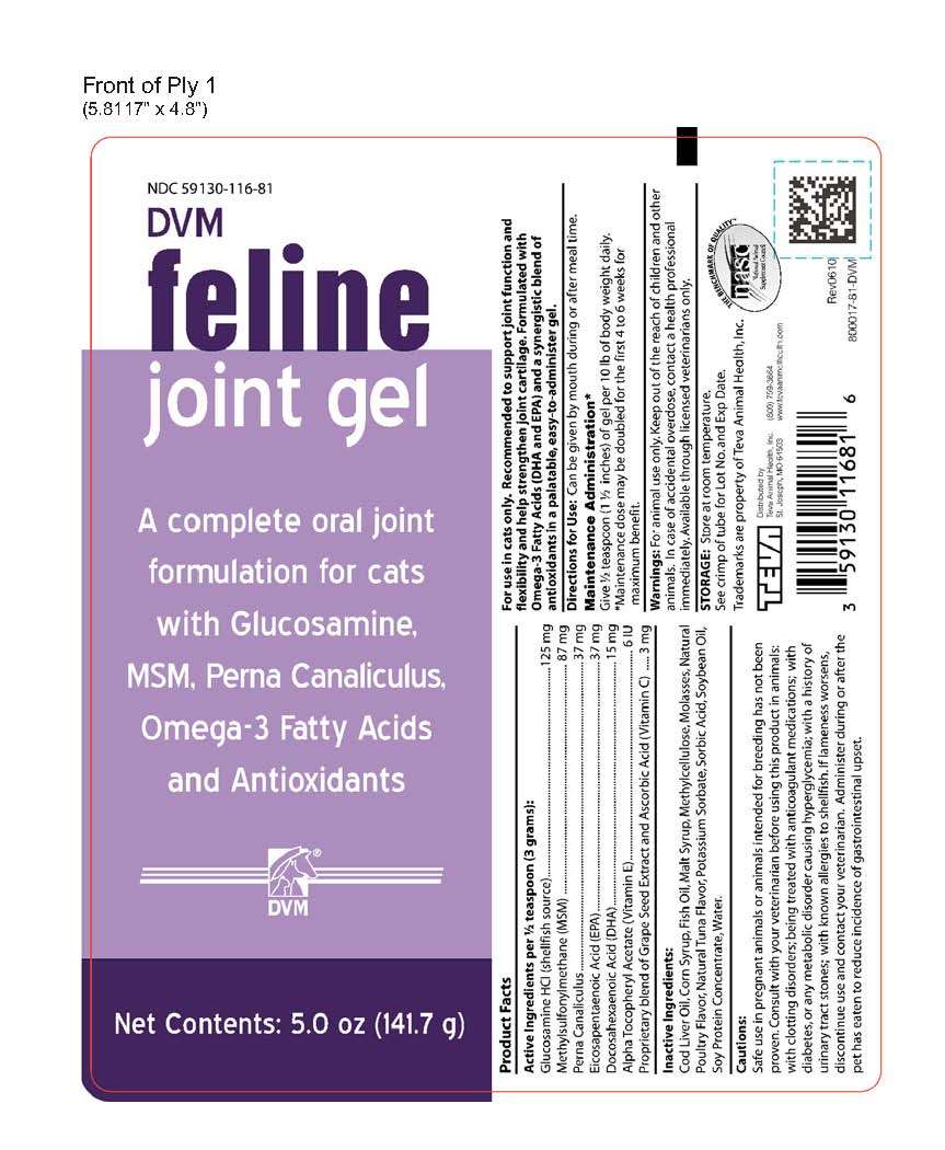 Feline Joint